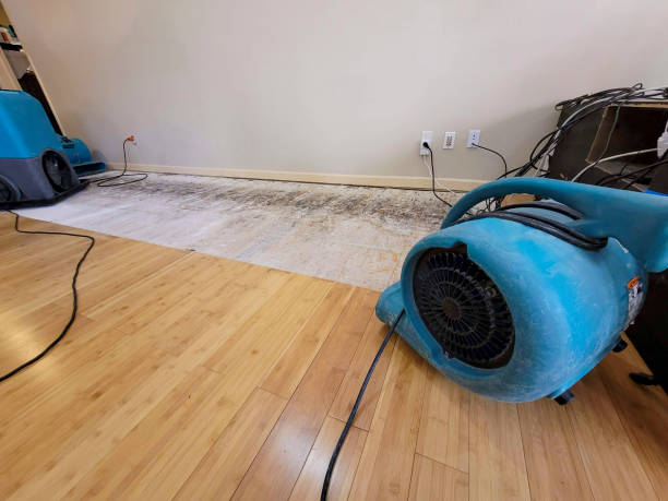 Professional Burst Pipe Water Damage technician working in Ansonia, CT